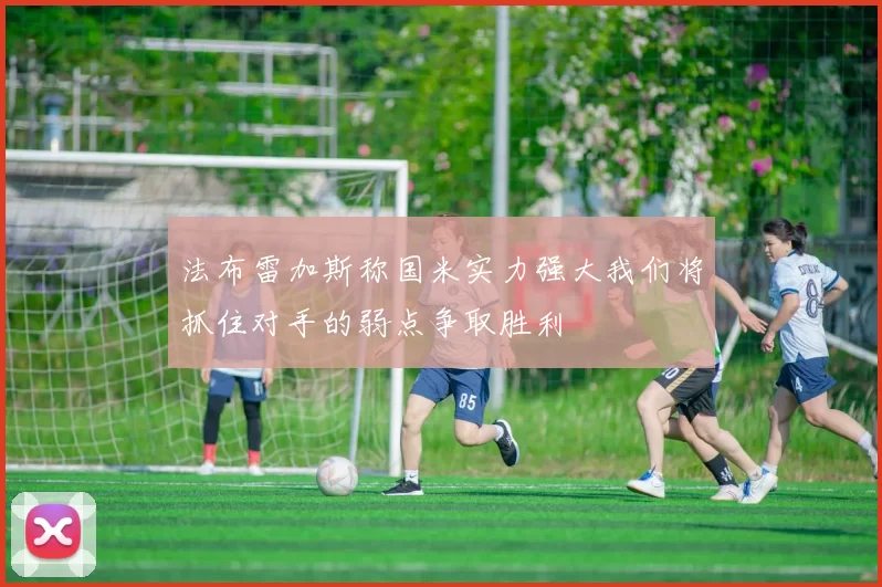 法布雷加斯称国米实力强大我们将抓住对手的弱点争取胜利